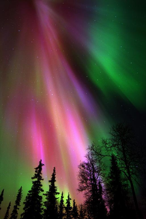 Lapland Northern Lights Hotel Ilveslinna Ranua Bagian luar foto