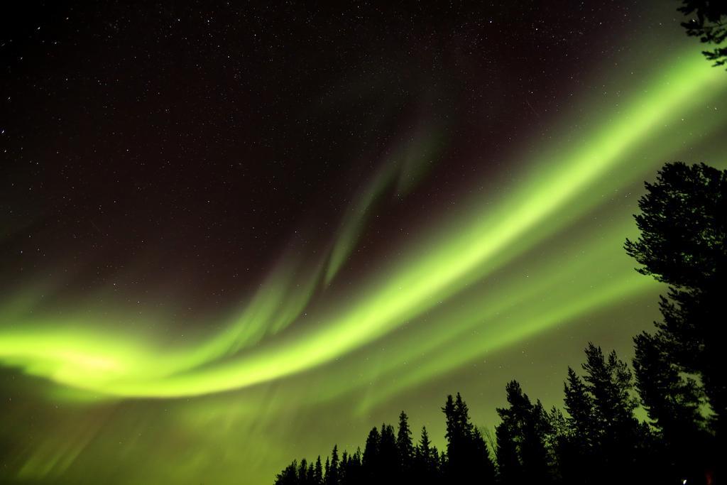 Lapland Northern Lights Hotel Ilveslinna Ranua Bagian luar foto