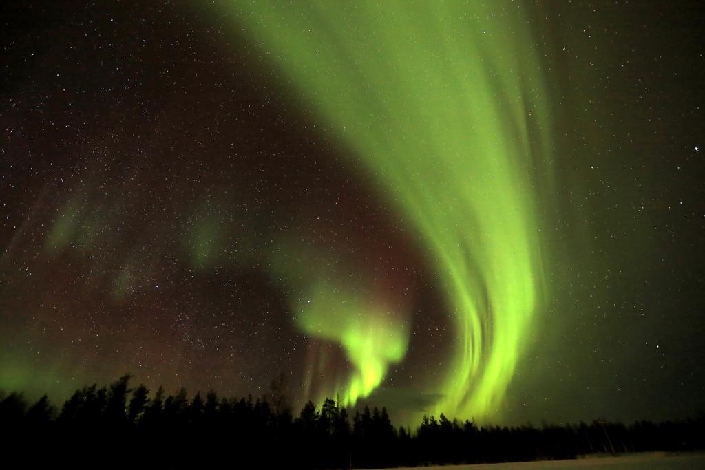 Lapland Northern Lights Hotel Ilveslinna Ranua Bagian luar foto