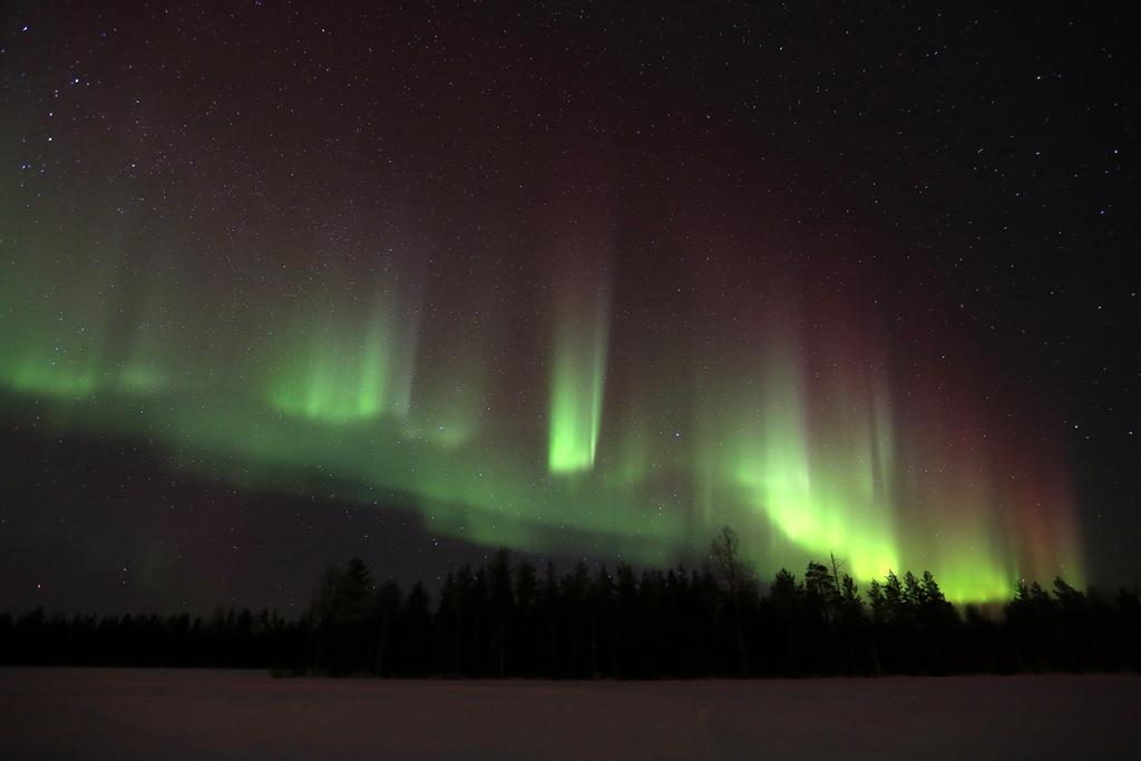 Lapland Northern Lights Hotel Ilveslinna Ranua Bagian luar foto