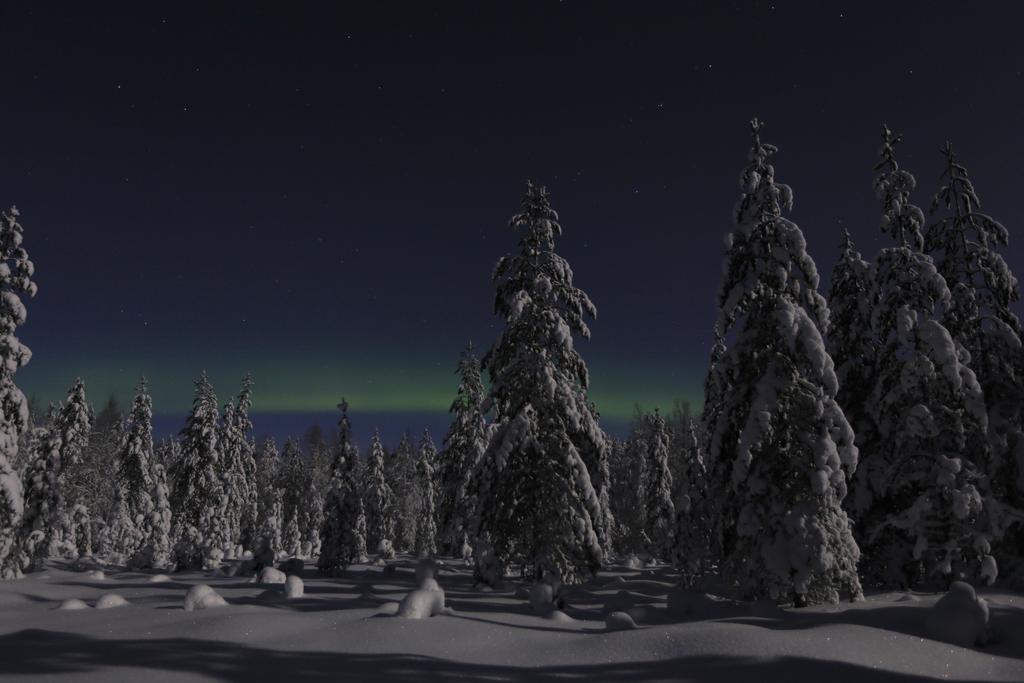 Lapland Northern Lights Hotel Ilveslinna Ranua Bagian luar foto