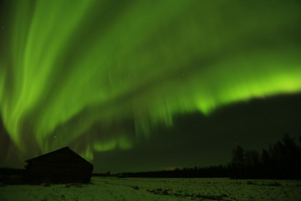 Lapland Northern Lights Hotel Ilveslinna Ranua Bagian luar foto