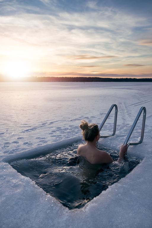 Lapland Northern Lights Hotel Ilveslinna Ranua Bagian luar foto