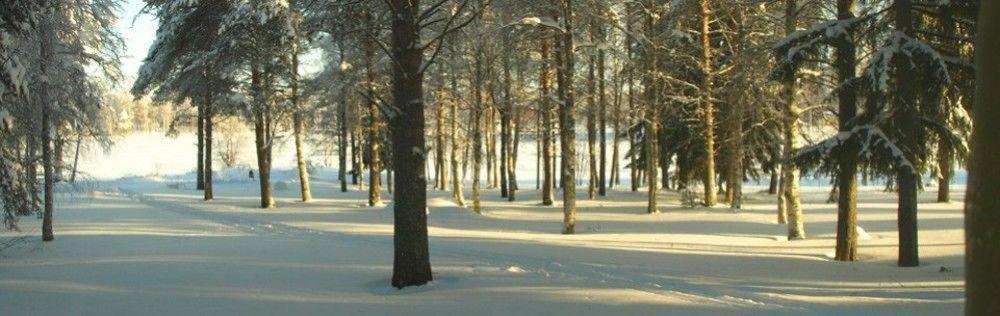 Lapland Northern Lights Hotel Ilveslinna Ranua Bagian luar foto