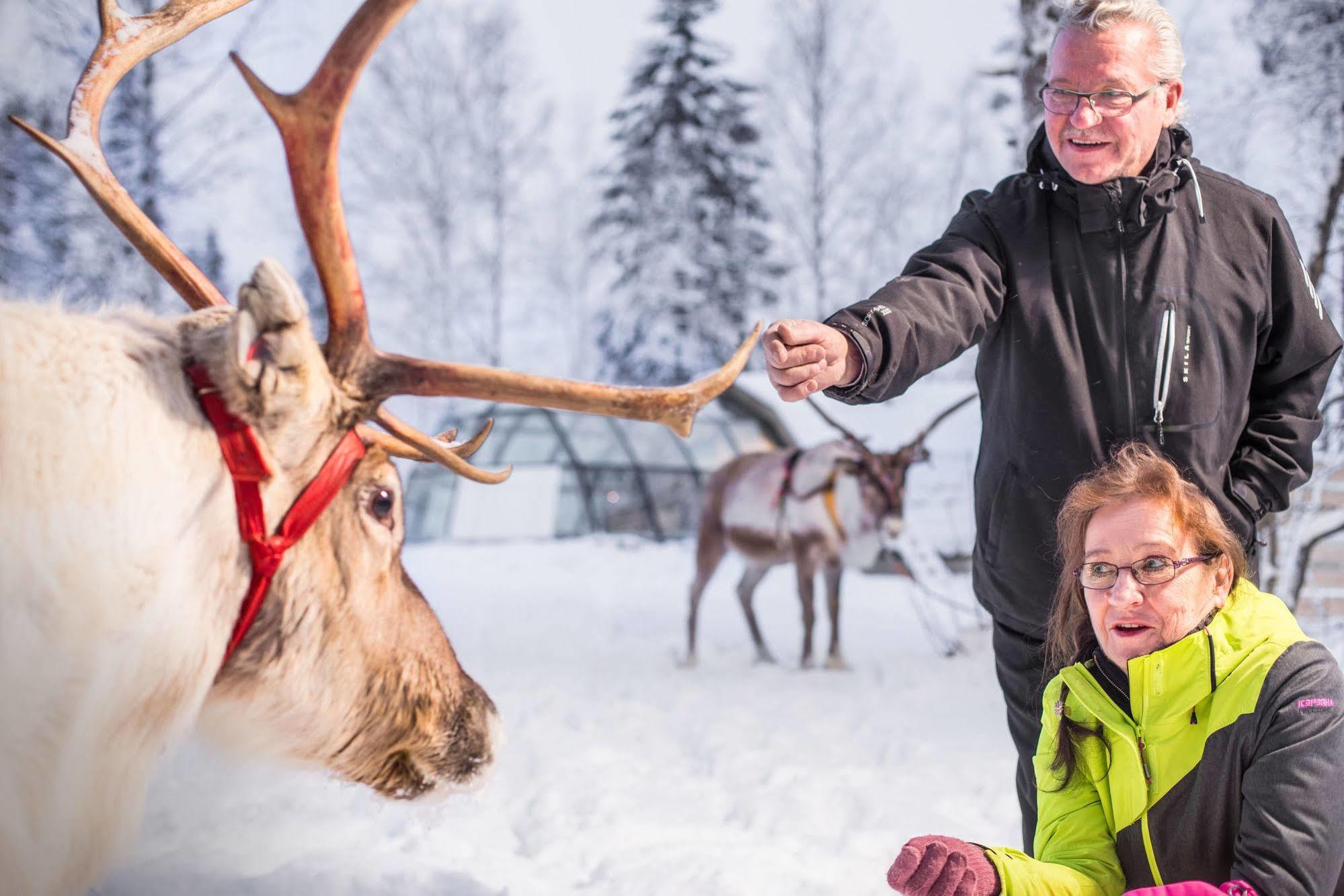 Lapland Northern Lights Hotel Ilveslinna Ranua Bagian luar foto