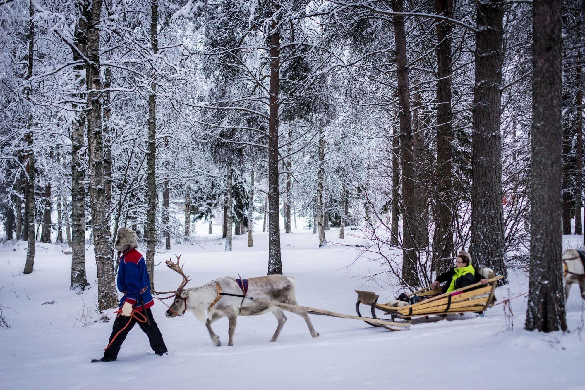 Lapland Northern Lights Hotel Ilveslinna Ranua Bagian luar foto