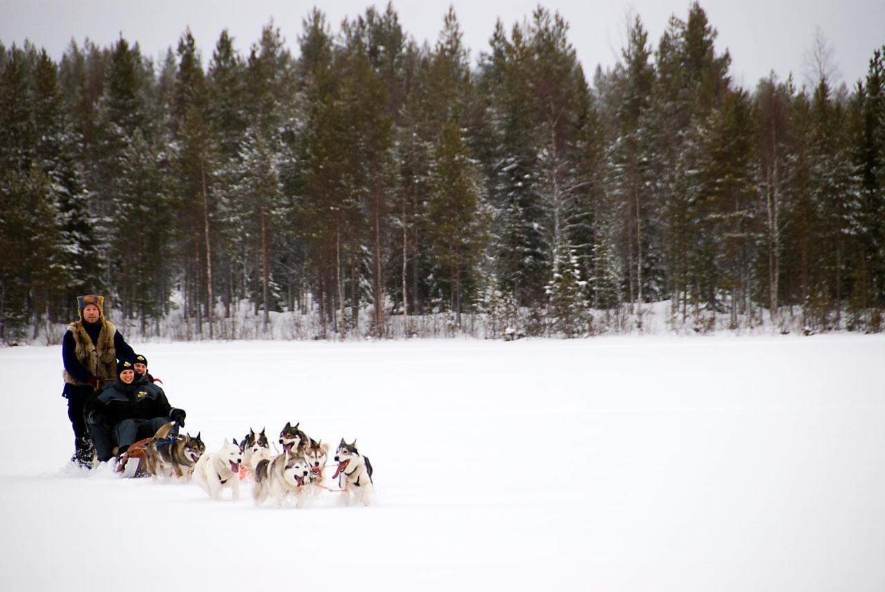 Lapland Northern Lights Hotel Ilveslinna Ranua Bagian luar foto